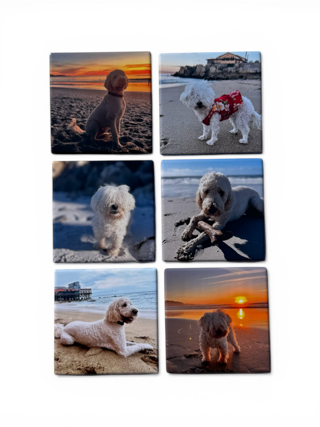 Custom Photo Magnets - Set of 6 or 12