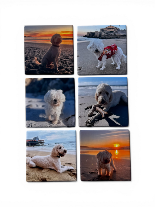 Custom Photo Magnets - Set of 6 or 12