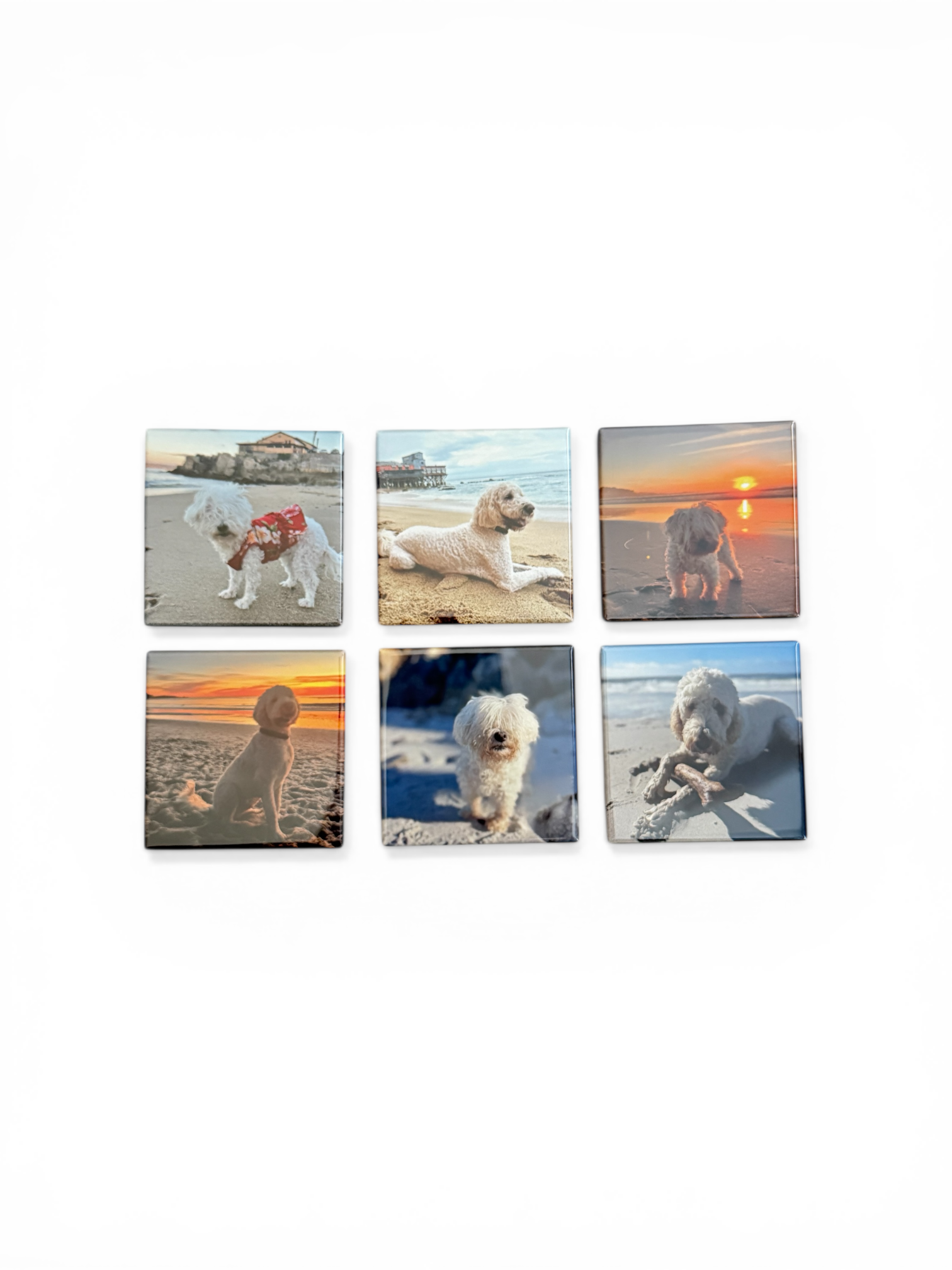 Custom Photo Magnets - Set of 6 or 12